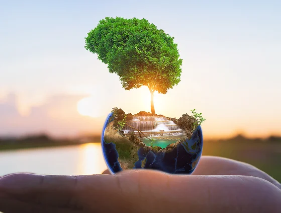 Carlos Menezes Advocacia